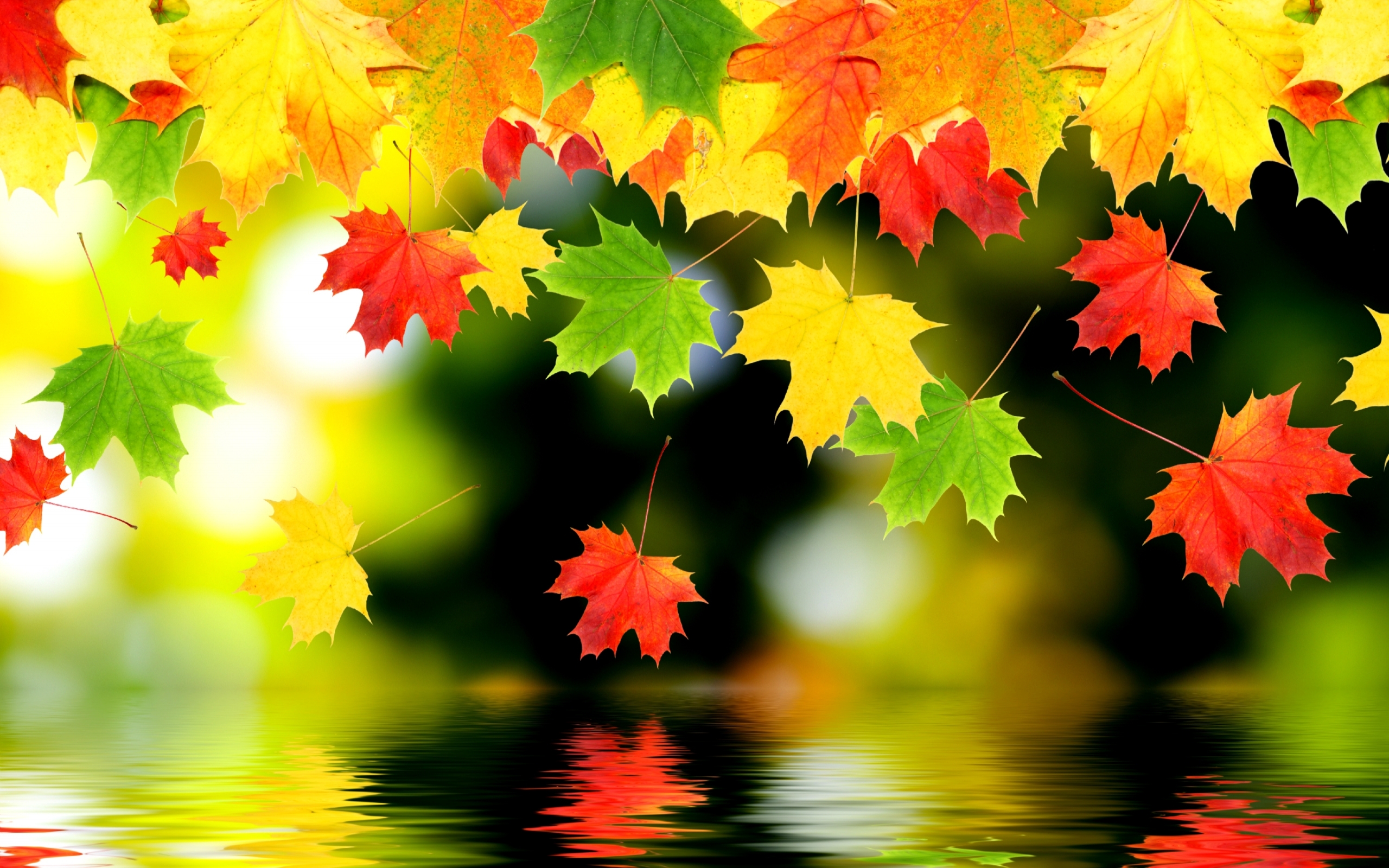 Various Autumn Wallpaper