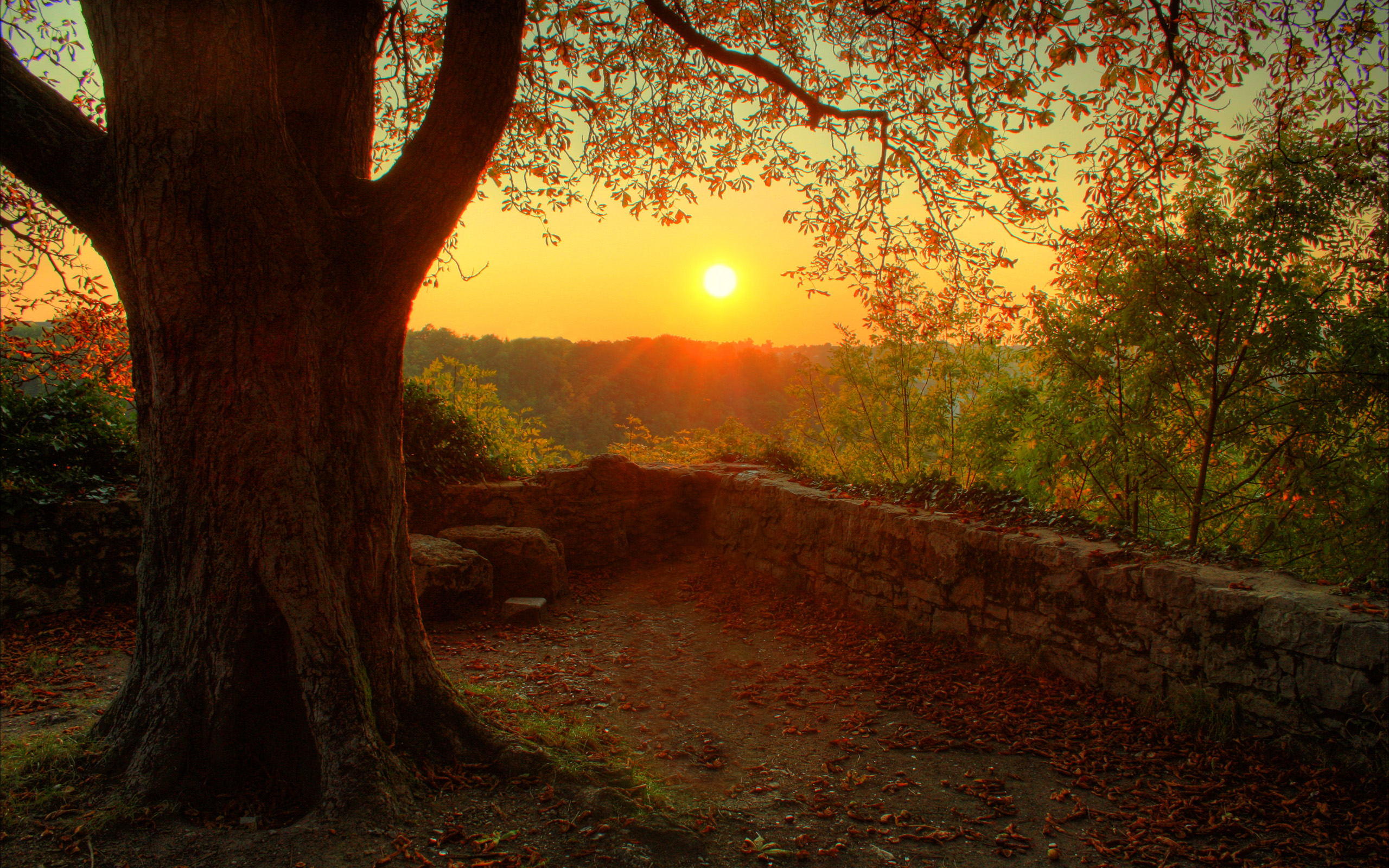Autumn Dusk desktop PC and Mac wallpaper