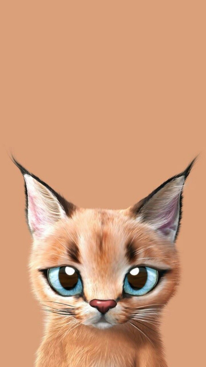 Image result for caracal iphone x wallpaper #catart. Cat wallpaper, Cat art, Kitten wallpaper