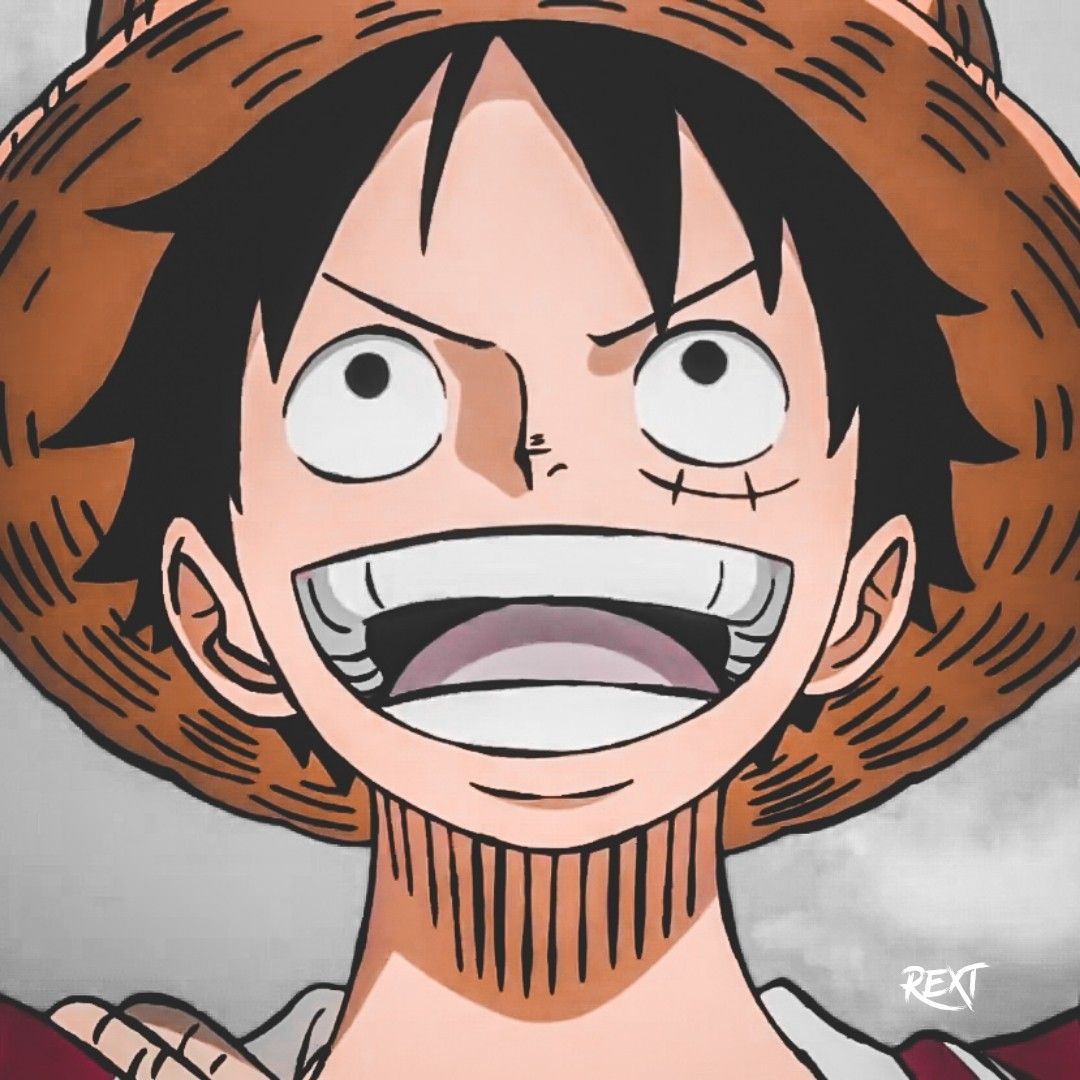 One Piece PFP: 40 Profile Pictures For Fans - LAST STOP ANIME