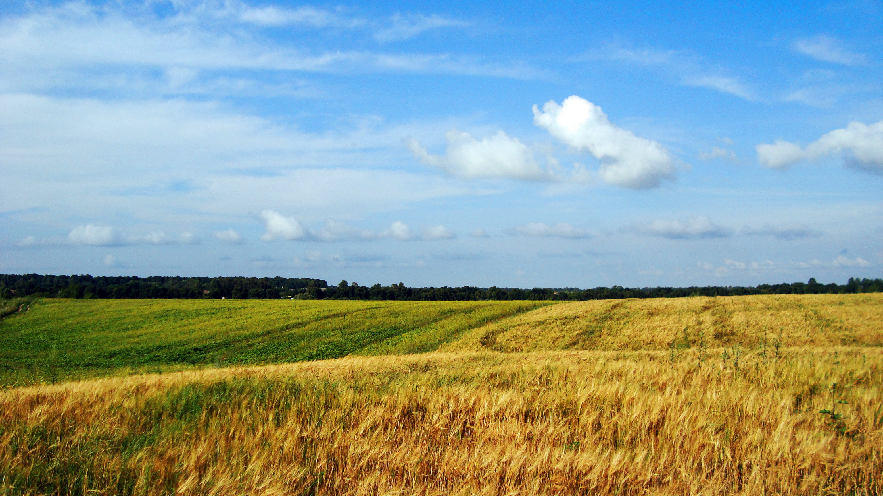 Ukraine Desktop Wallpaper