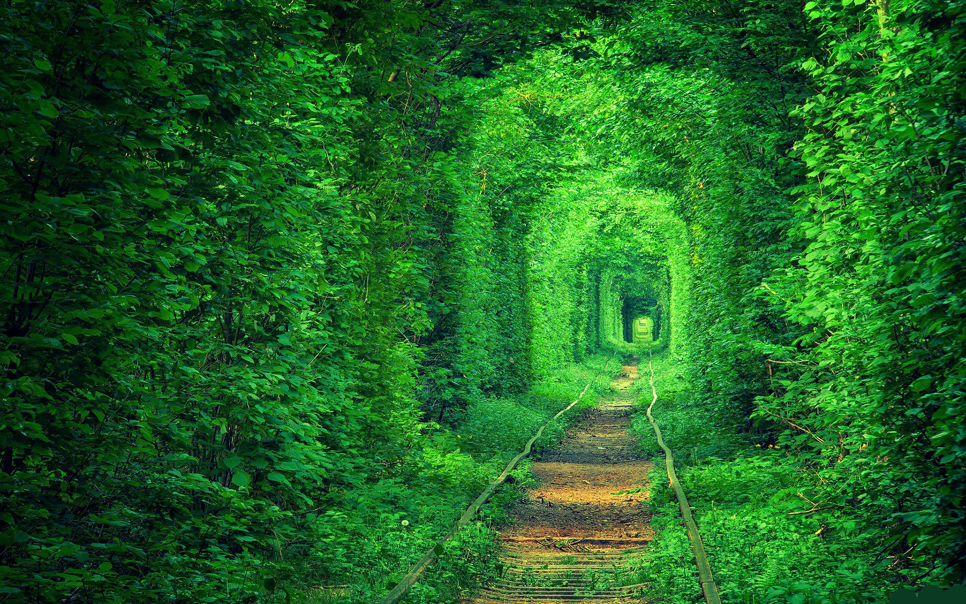 Tunnel of Love HD wallpaper