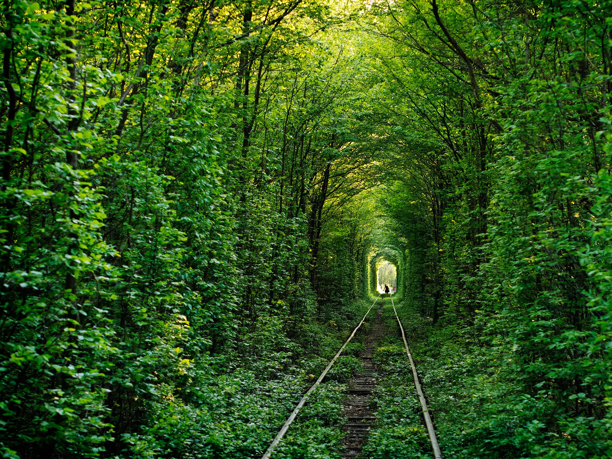 Tunnel of love, Ukraine HD Wallpaper
