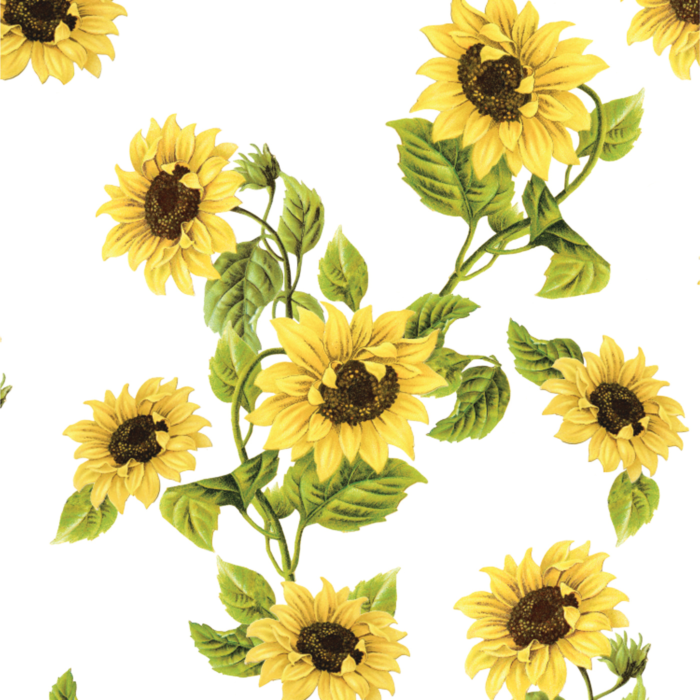 Classic Sunflowers Peel And Stick Removable Wallpaper. Love vs. Design