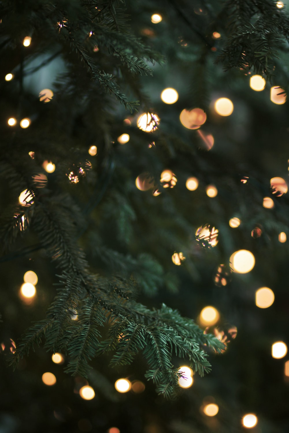 Christmas Tree Picture [HQ]. Download Free Image