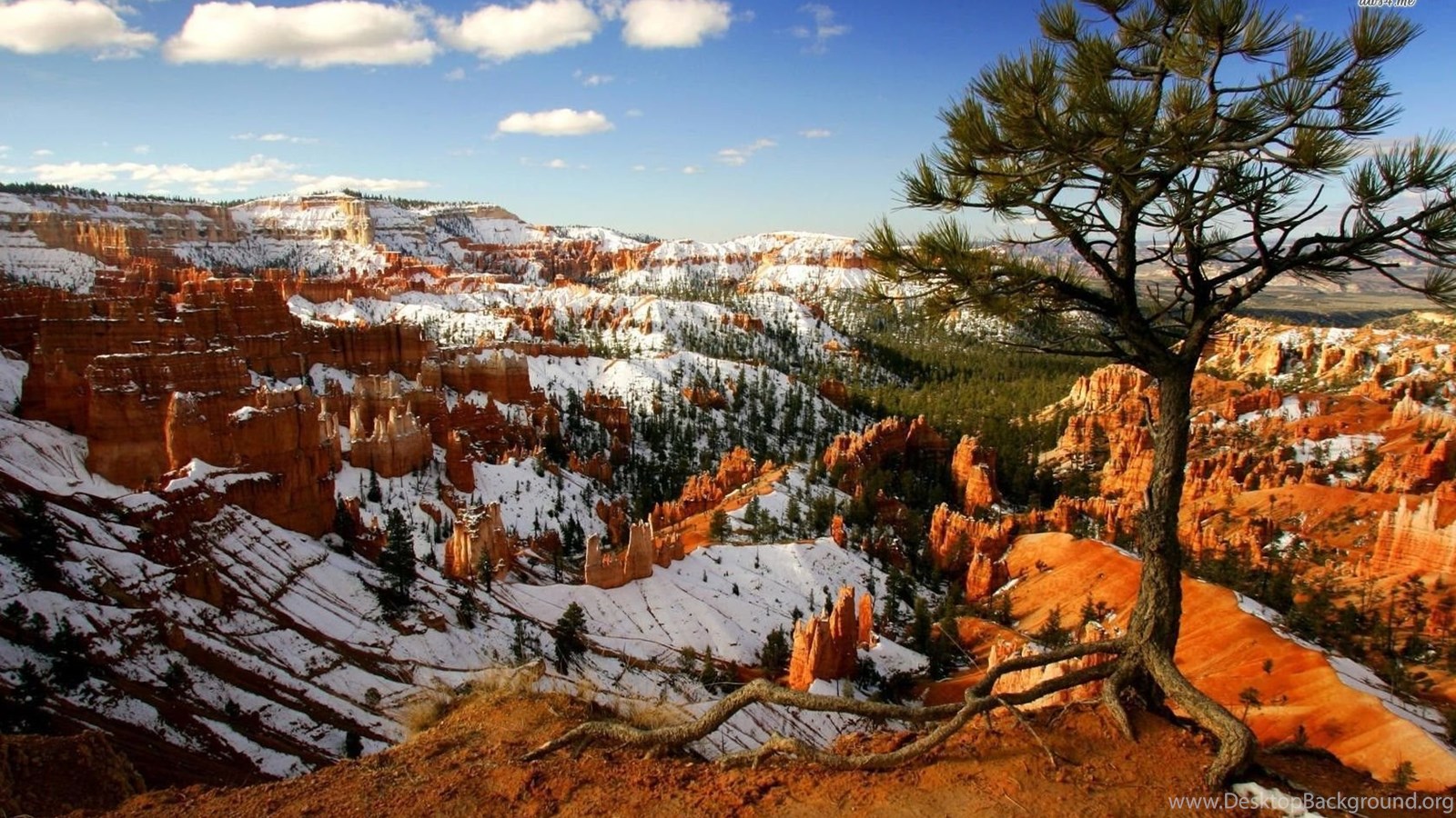 Snow In Bryce Canyon National Park Wallpaper Nature Wallpaper. Desktop Background
