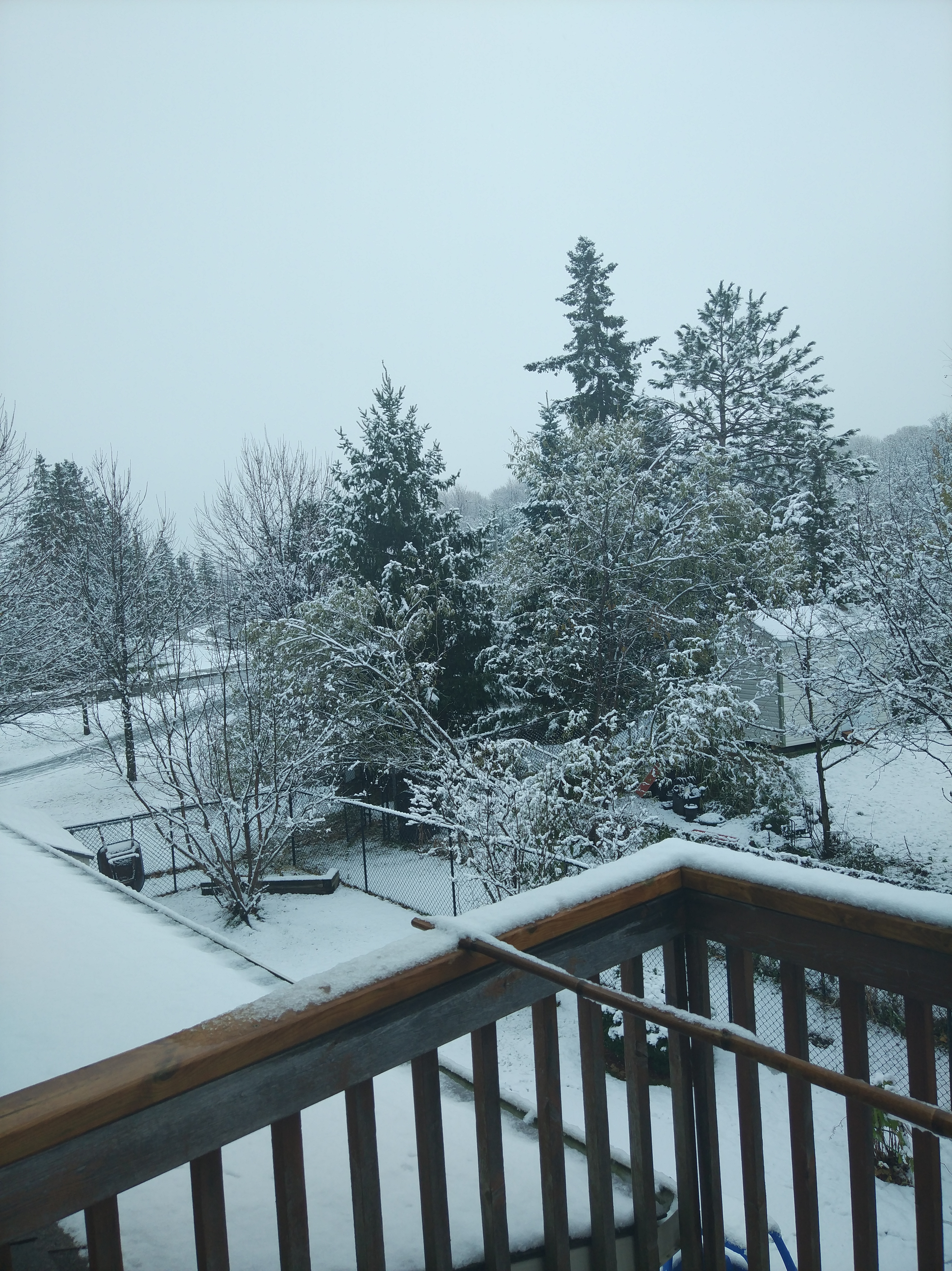 Wallpaper, snow, winter, balcony, trees 4112x5488