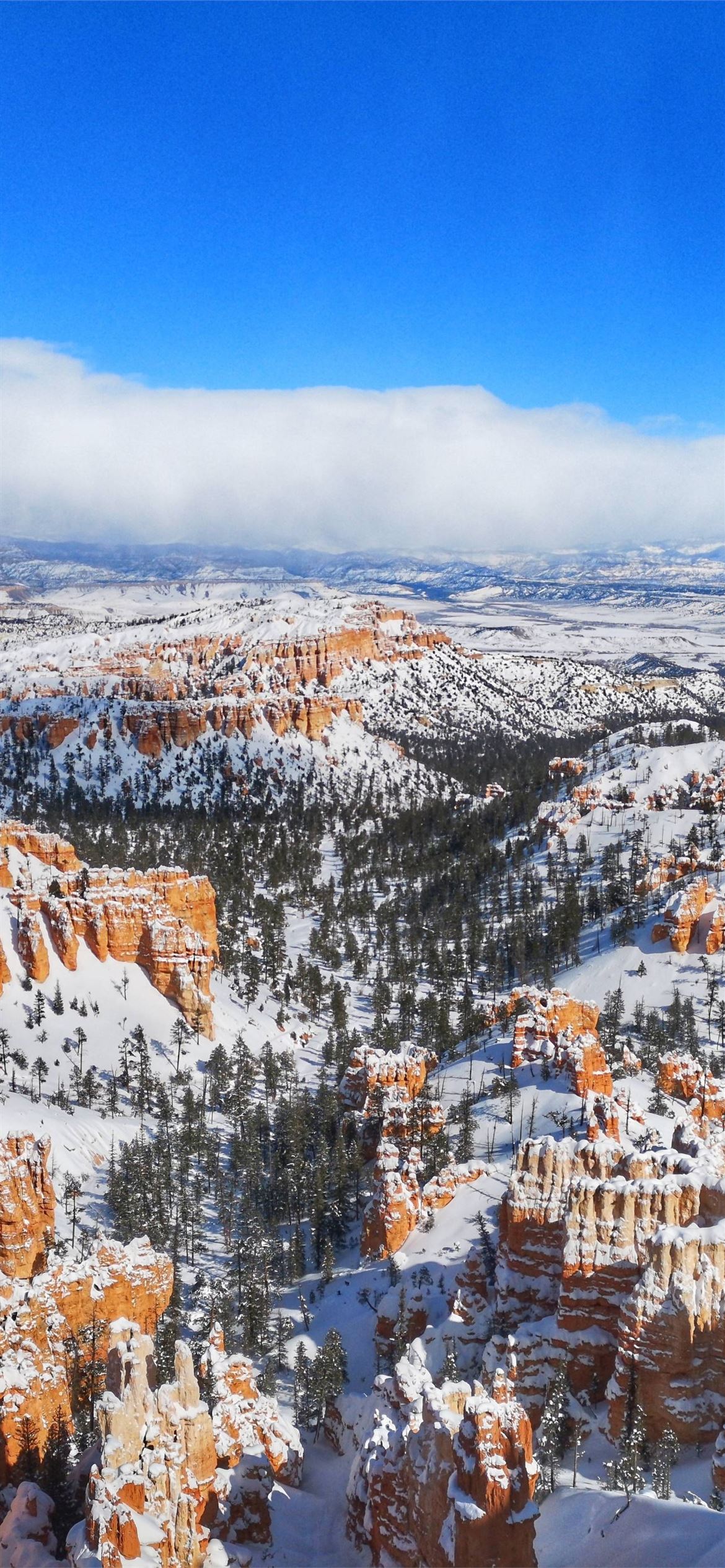 bryce canyon national park iPhone Wallpaper Free Download