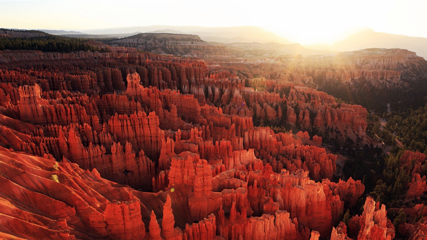 Bryce Canyon National Park Windows 10 HD Wallpaper2014 Canyon National Park