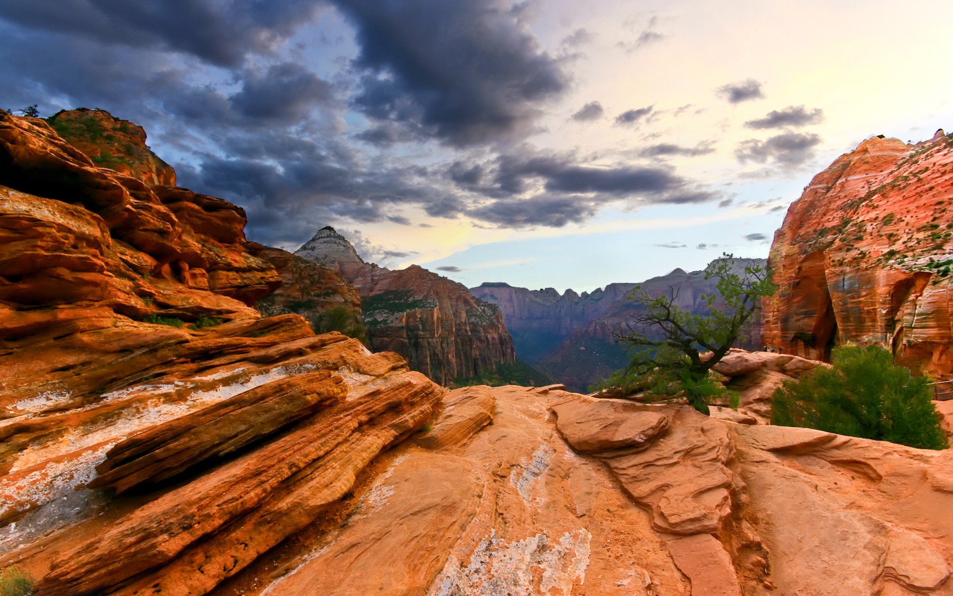 Zion National Park Wallpaper Landscape Nature Wallpaper in jpg format for free download