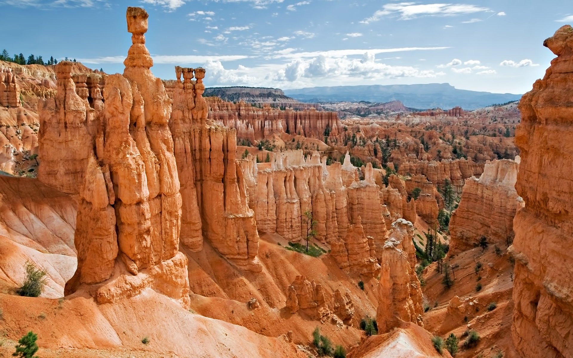 Bryce Canyon National Park HD Wallpaper