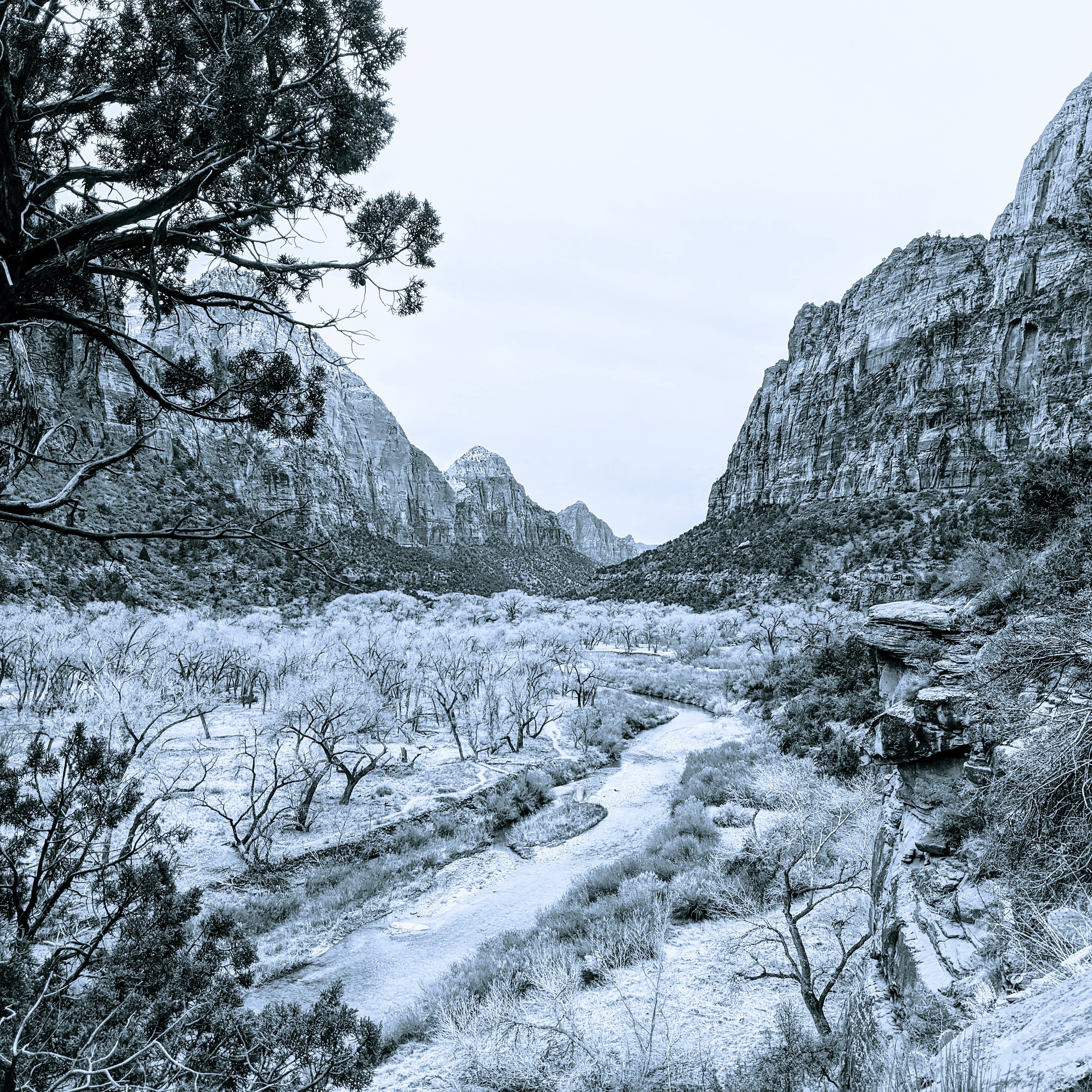 First Post of Scenic View at Zion National Park HD wallpaper