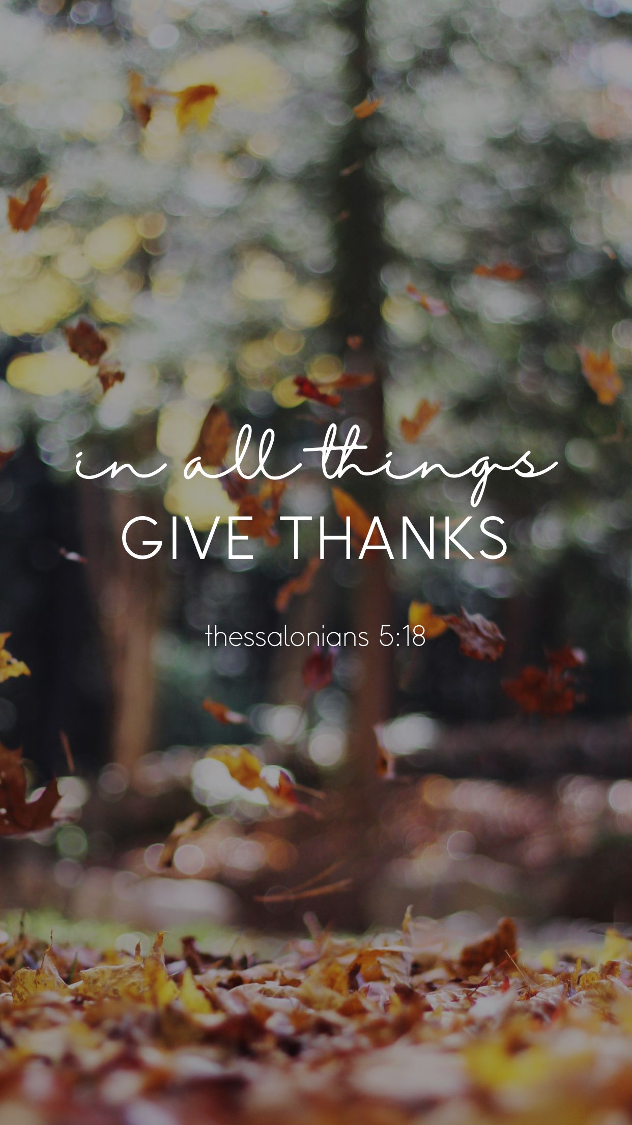 thessalonians 5:18 in all things give thanks fall phone wallpaper Lynn Meadows Photography. Christliche bibelverse, Bibelverse, Bibel vers
