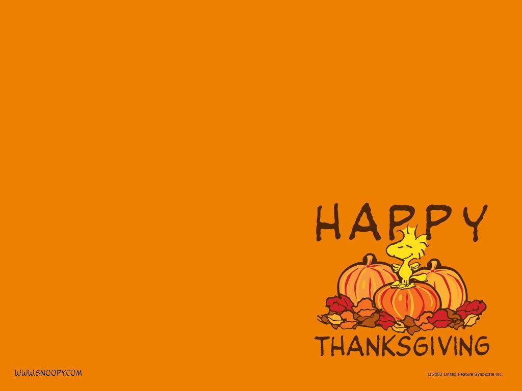 Colorful Thanksgiving Wallpaper Free Colorful Thanksgiving Background