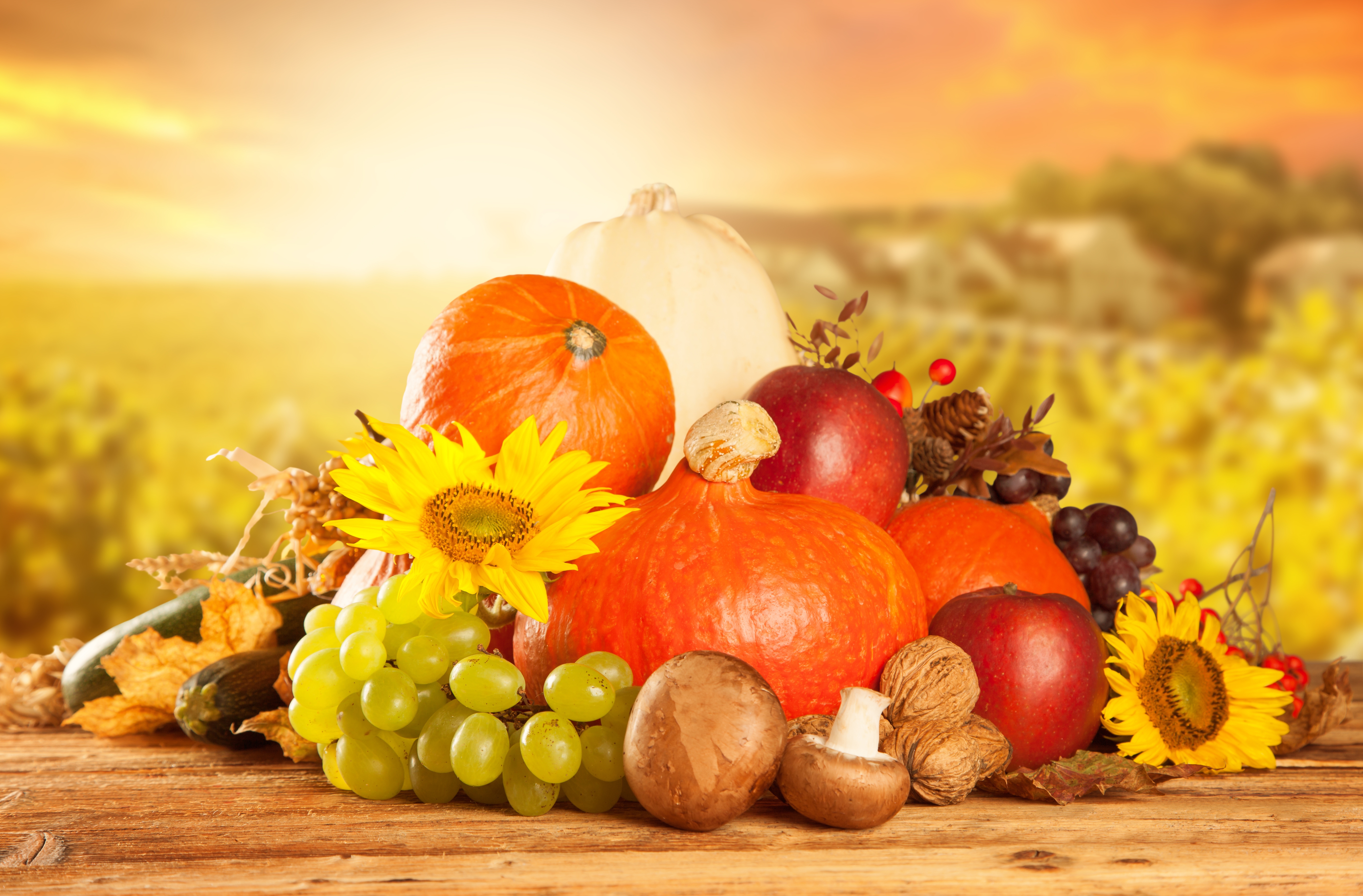 Photography Still Life 8k Ultra HD Wallpaper