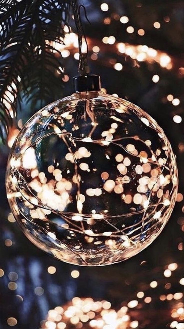 wallpers. Christmas aesthetic, Christmas tree wallpaper, Christmas background