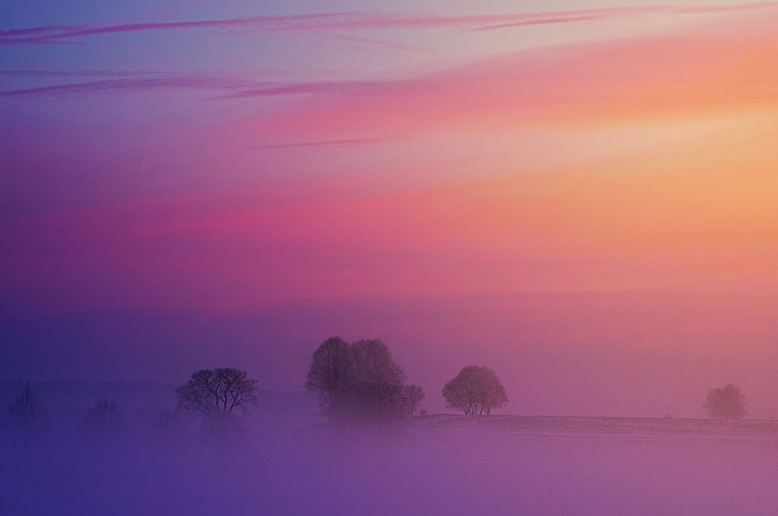 Pastel Morning 5k Chromebook Pixel HD 4k Wallpaper, Image, Background, Photo and Picture