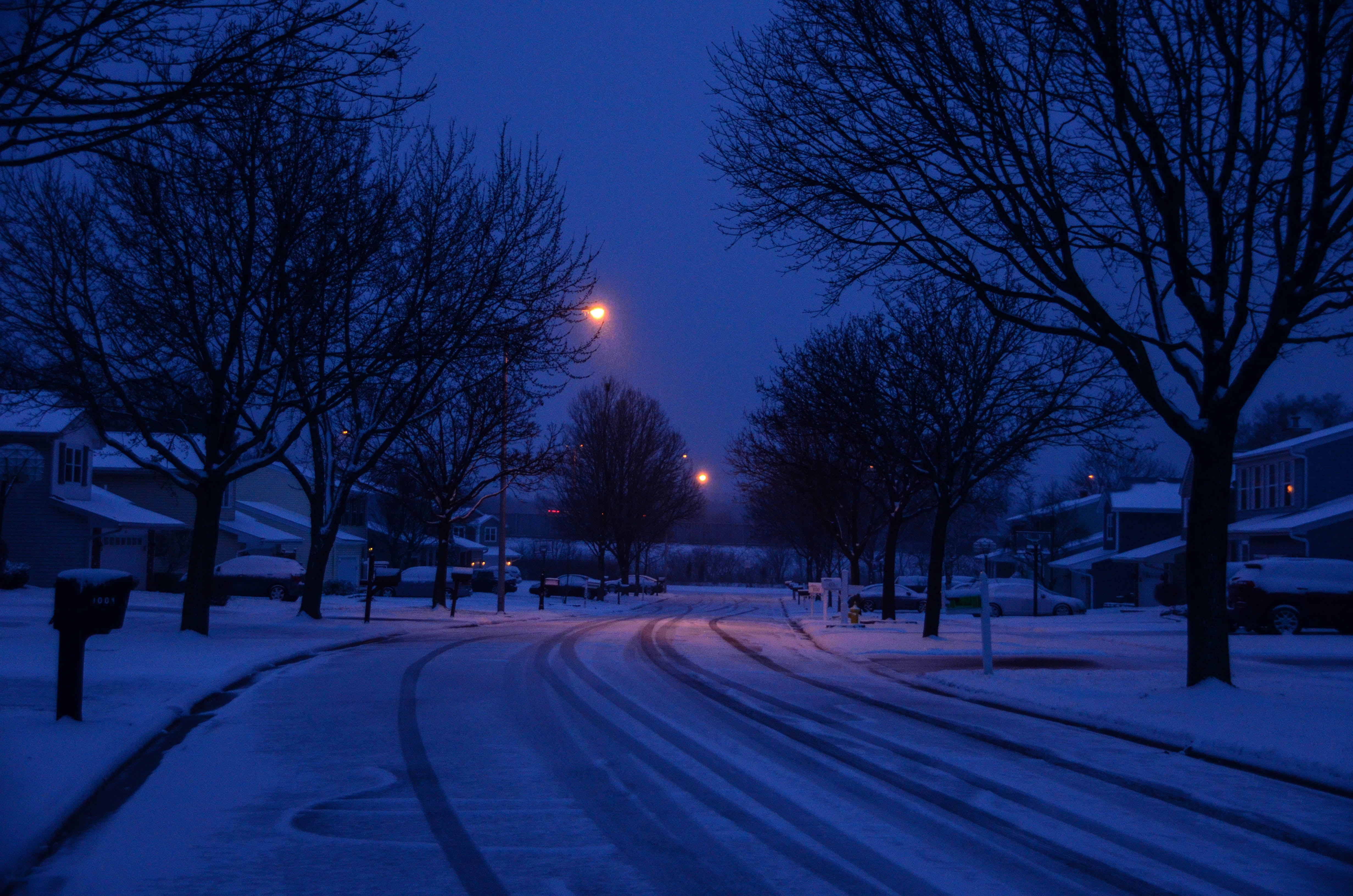 Wallpaper, nikond Nikon, sigma, sigma18250mm, snow, winter, morning, street, trees, lights, tiretracks, spring, cold, neighborhood, houses, blue, bluehour, streetlights, tracks, mailbox, curve, cars, recedinglines, weather, early 4928x3264