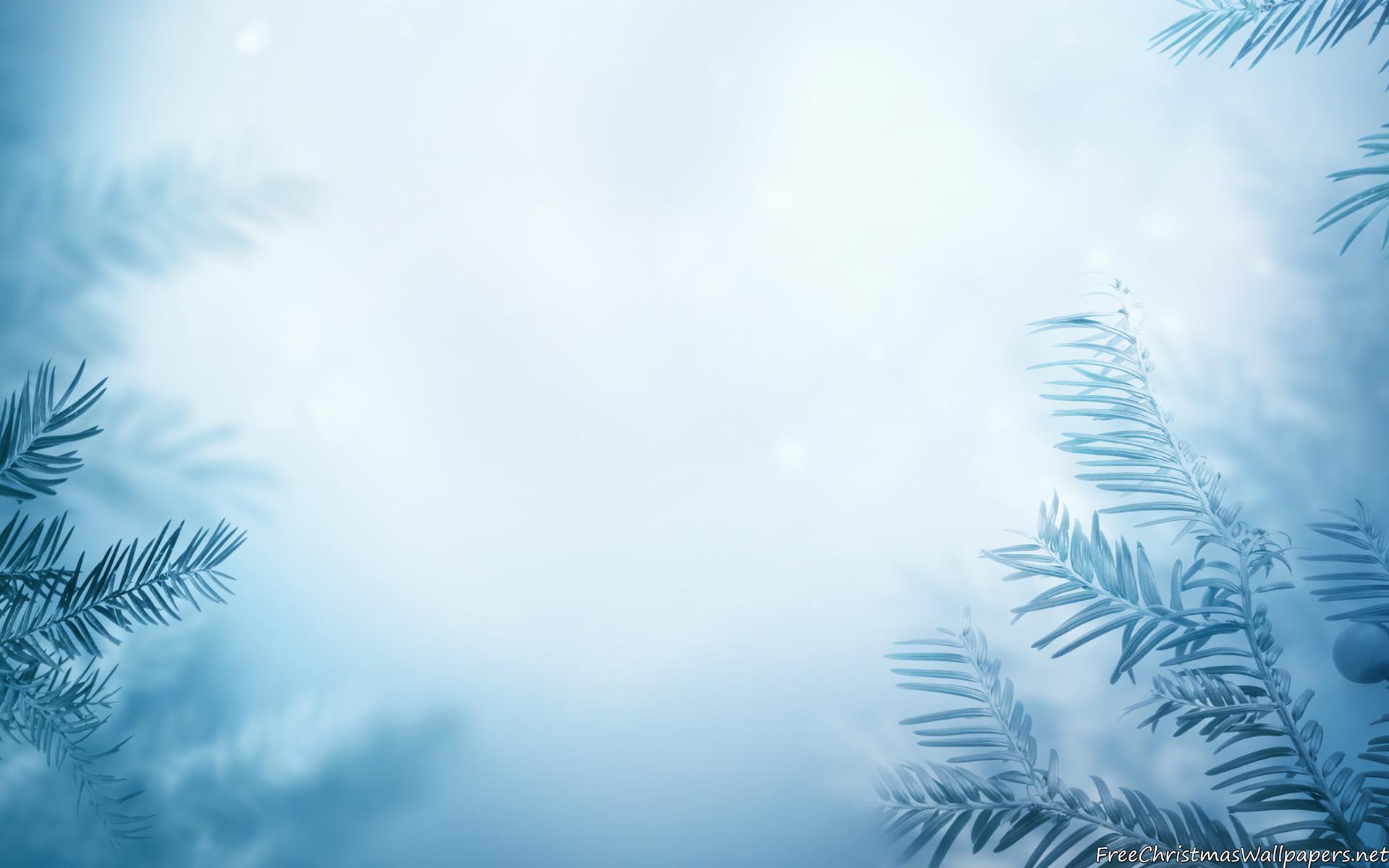 Simple Winter Desktop Wallpaper Free Simple Winter Desktop Background