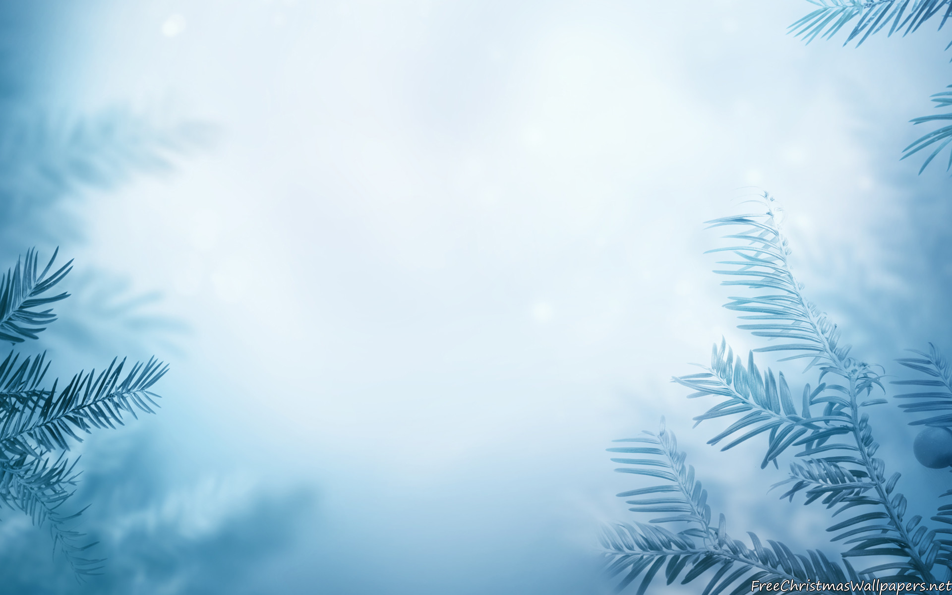 Cute Winter Background