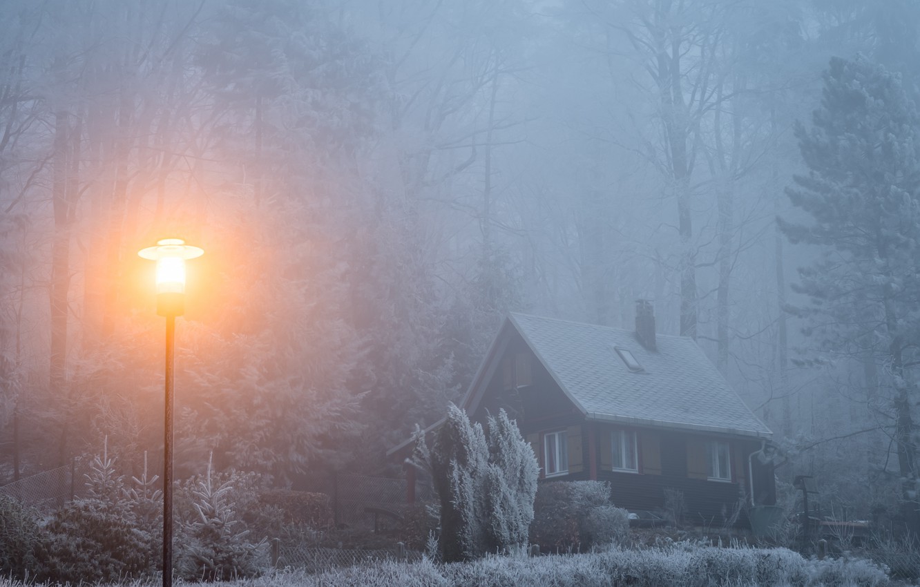 Wallpaper winter, frost, forest, light, snow, trees, fog, house, morning, lantern, haze, house, early, the bushes, pine, fabulously image for desktop, section пейзажи