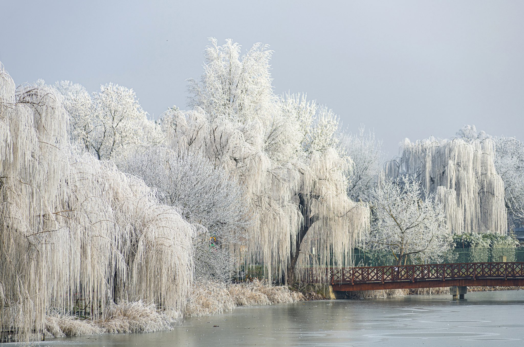 Hard to Enjoy Winter? These Photo Will Prove You Wrong!