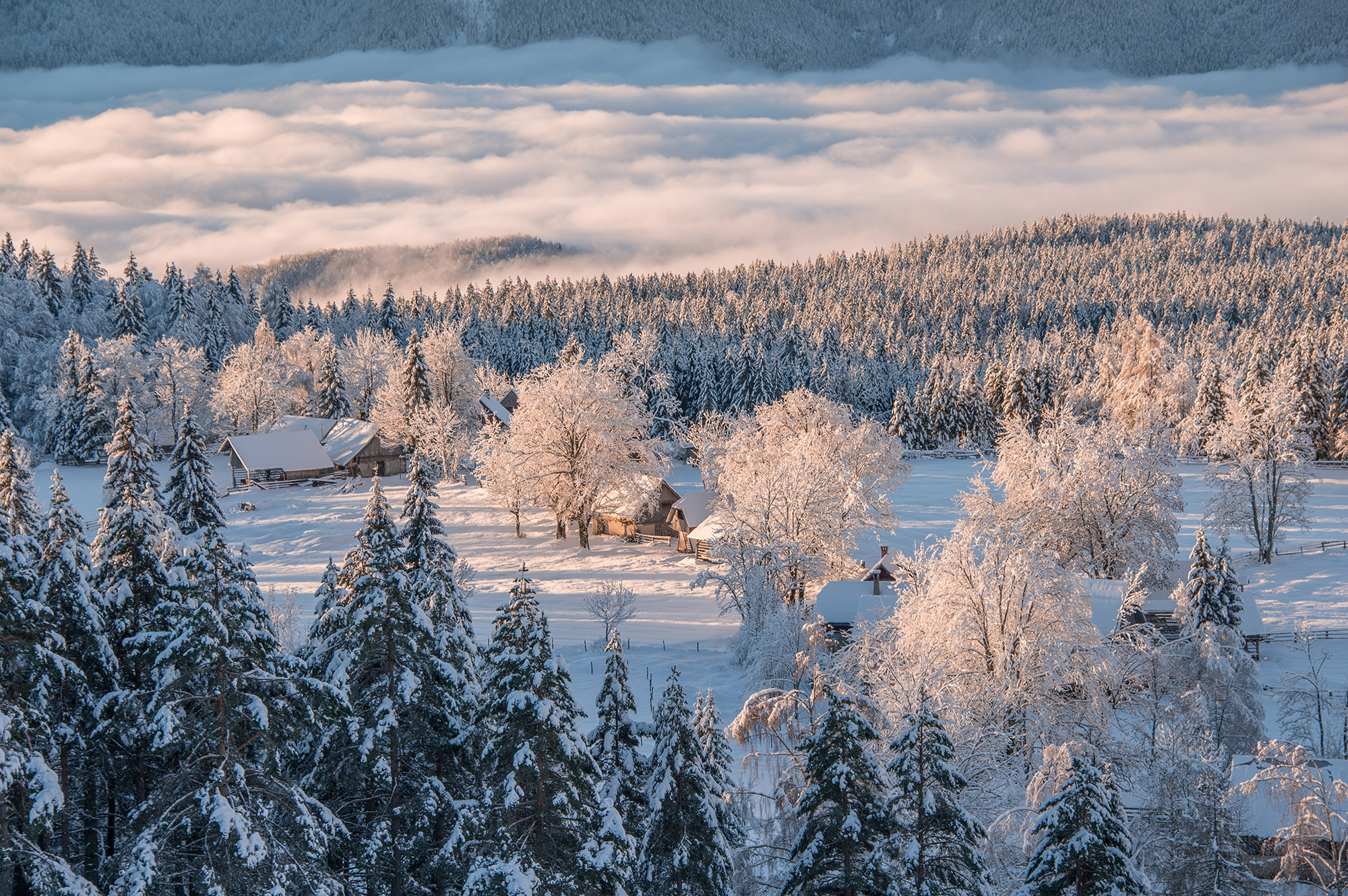 Dreamy Pixel. Uskovnica on a winter morning