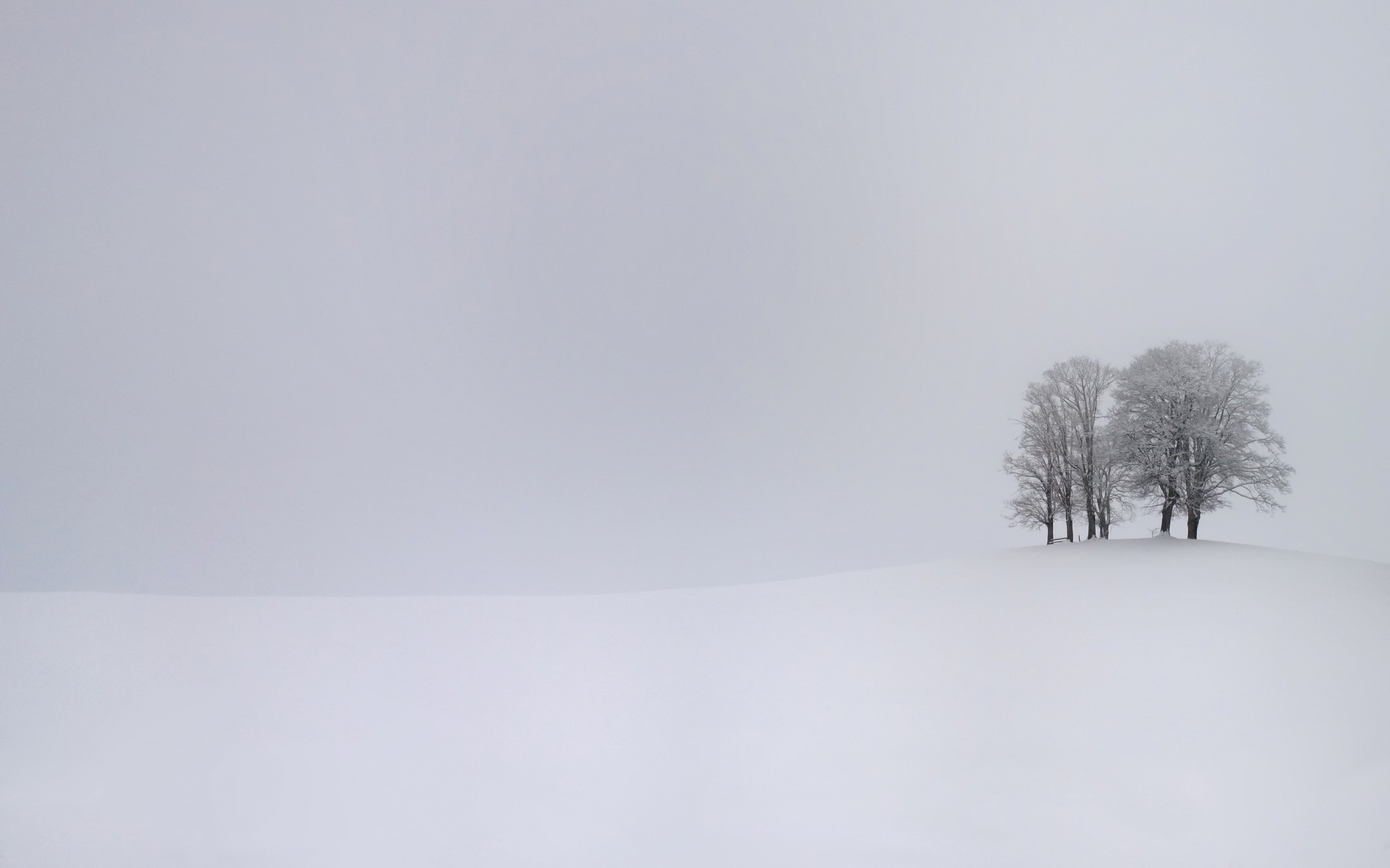 Wallpaper, trees, landscape, white, monochrome, nature, snow, branch, hills, simple, overcast, Freezing, fog, weather, season, blizzard, atmospheric phenomenon, winter storm 2880x1800