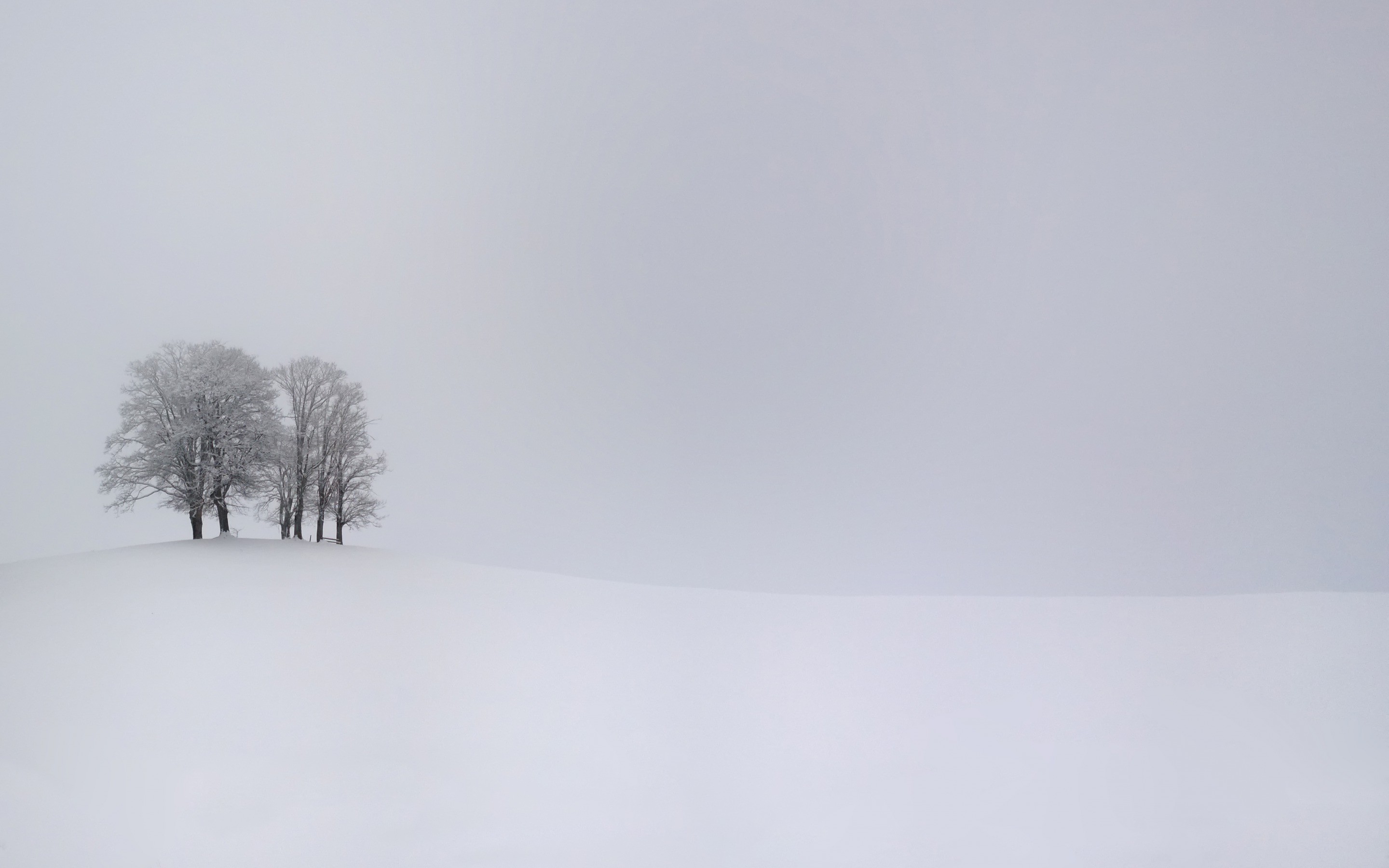 nature, Landscape, Trees, Snow, Winter, Branch, White, Monochrome, Hill, Simple, Overcast Wallpaper HD / Desktop and Mobile Background