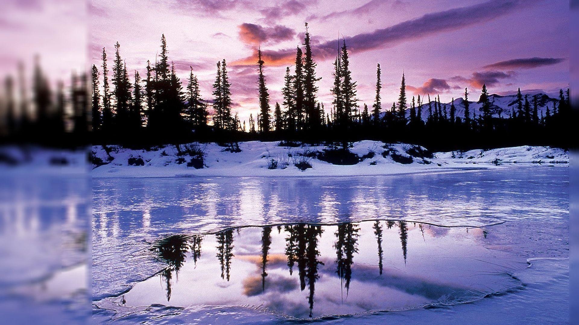 Free Winter Picture Wallpaper