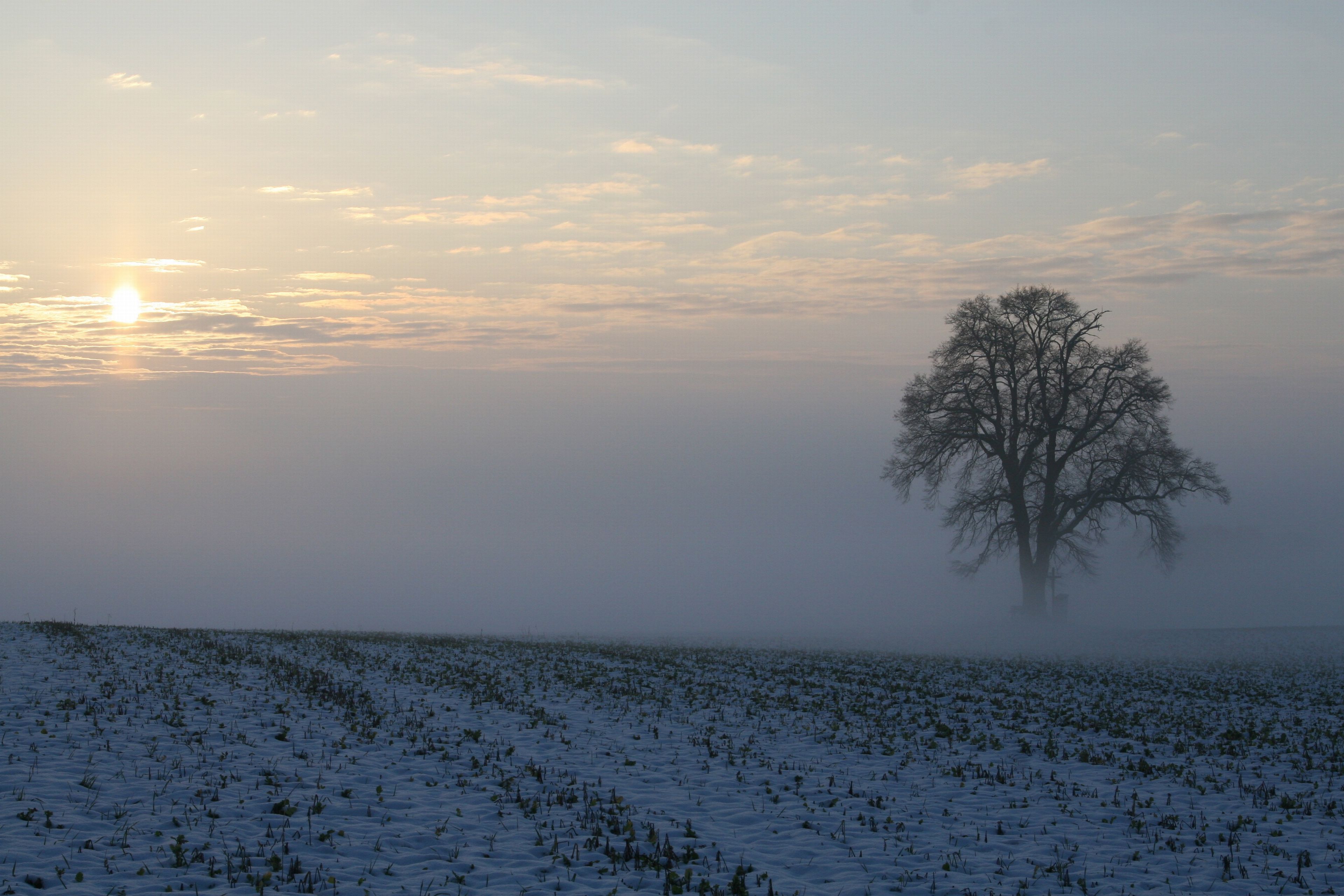 Beautiful early winter morning 4K wallpaper