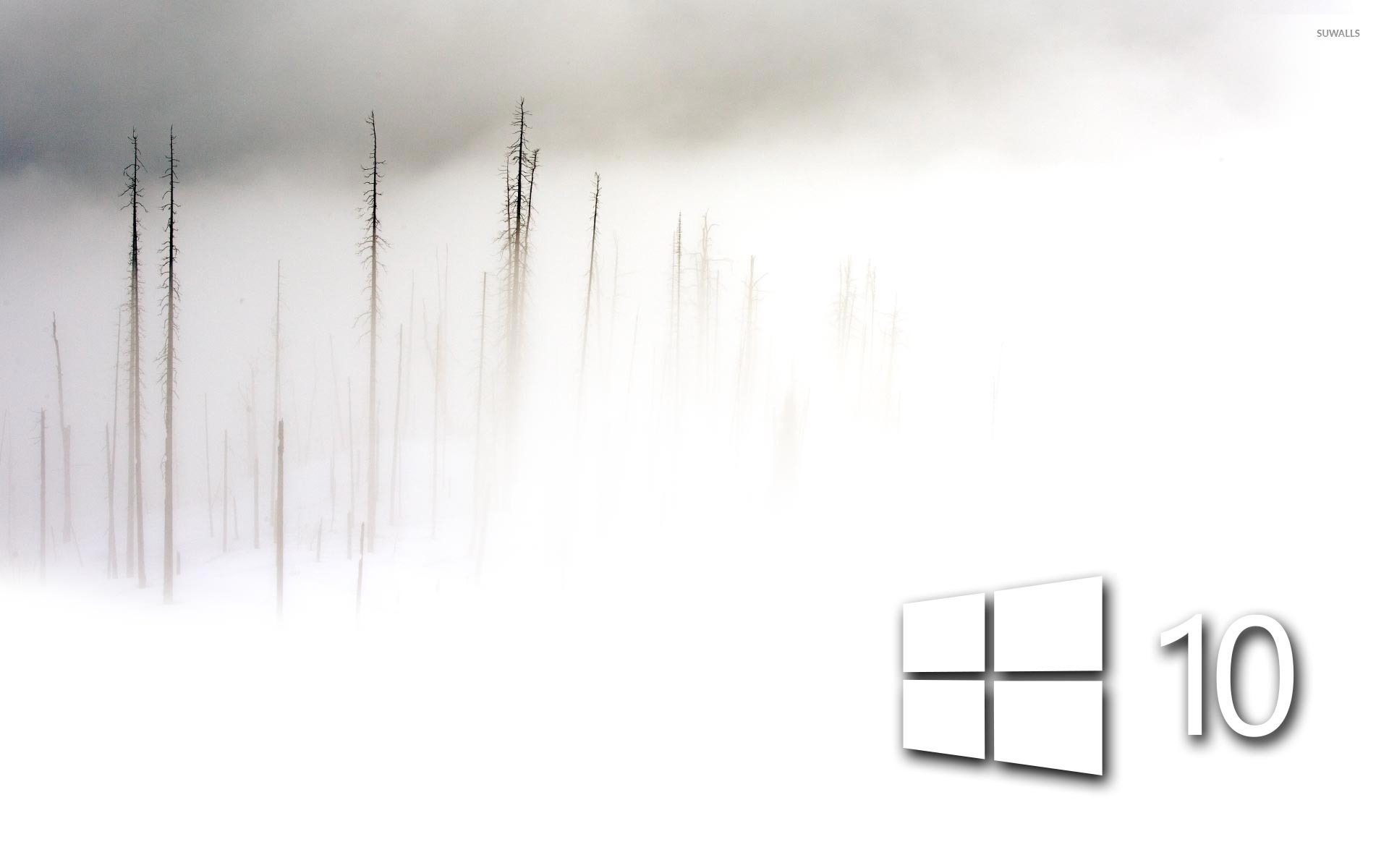 Windows 10 in the foggy winter day simple white logo wallpaper wallpaper
