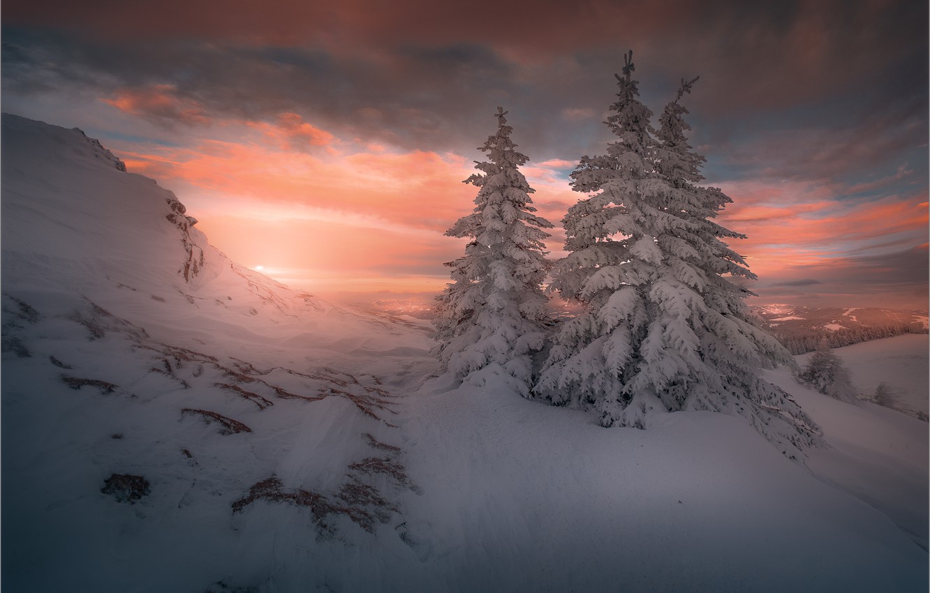 Wallpaper winter, the sky, clouds, snow, sunset, mountains, ate, the snow, Christmas trees image for desktop, section пейзажи