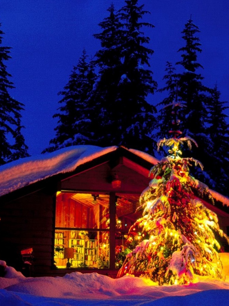 Christmas Night iPad mini wallpaper