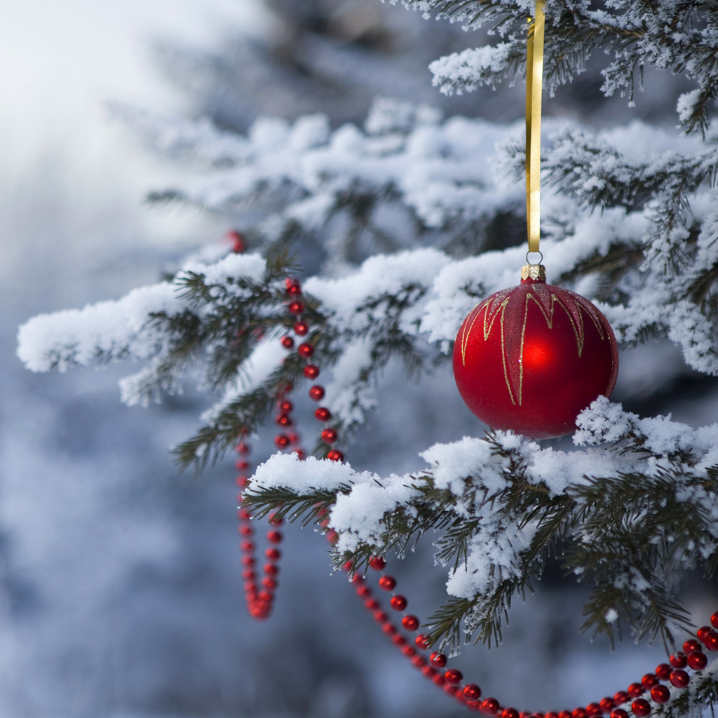 christmas desktop wallpaper, red, winter, christmas ornament, freezing, snow
