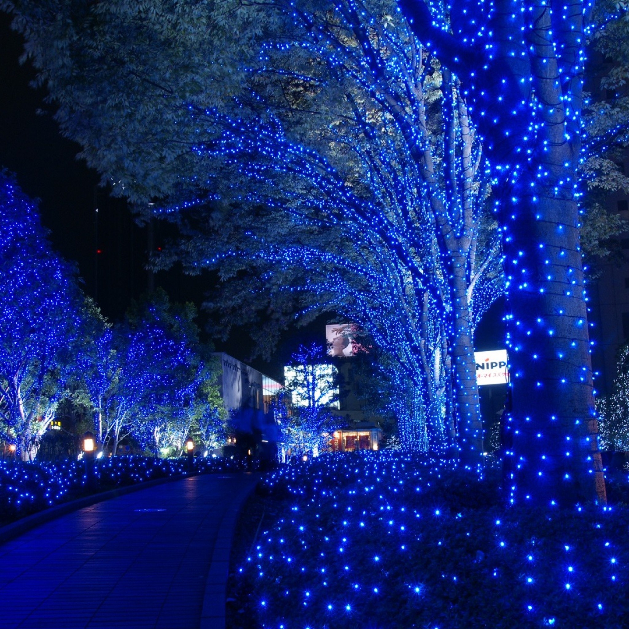 Animated Christmas Wallpaper for iPad