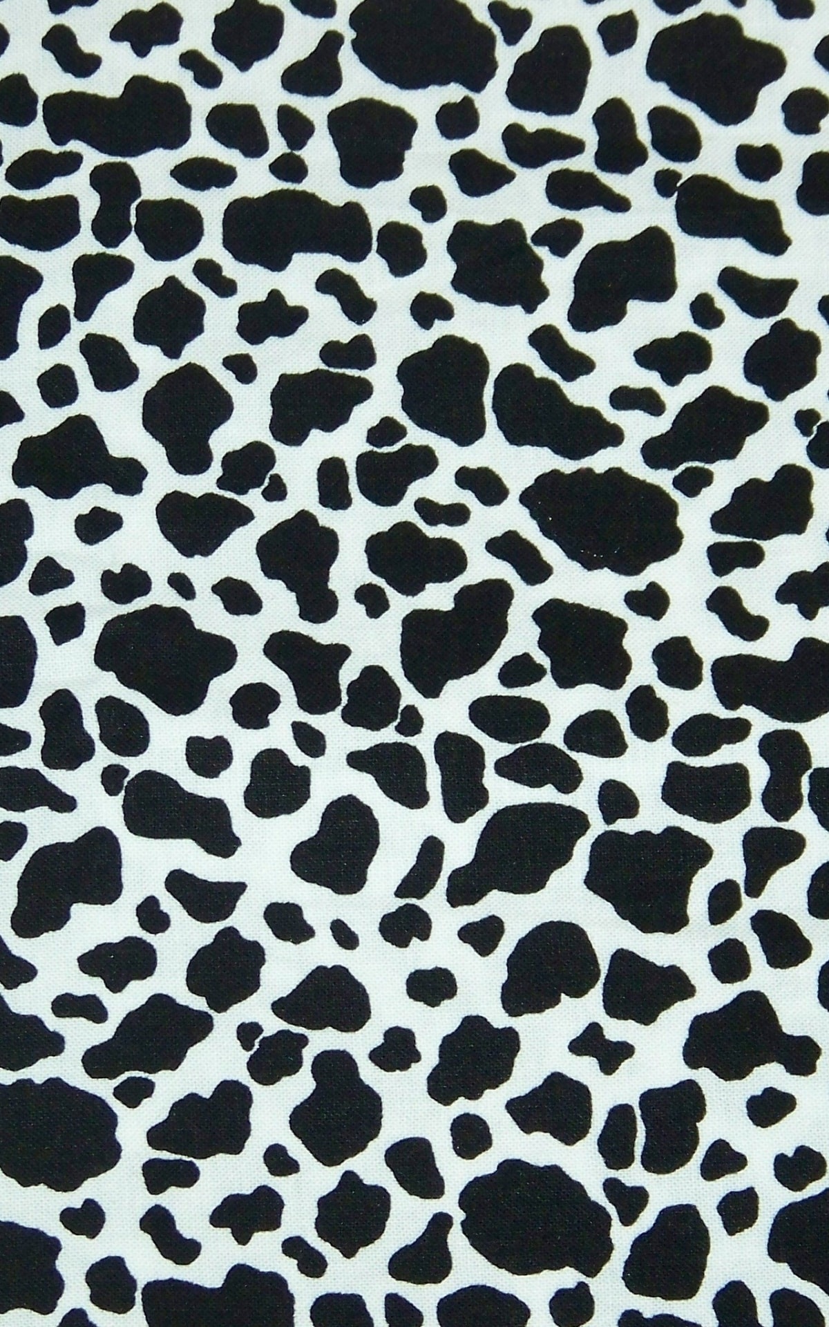 Cow Print Wallpaper