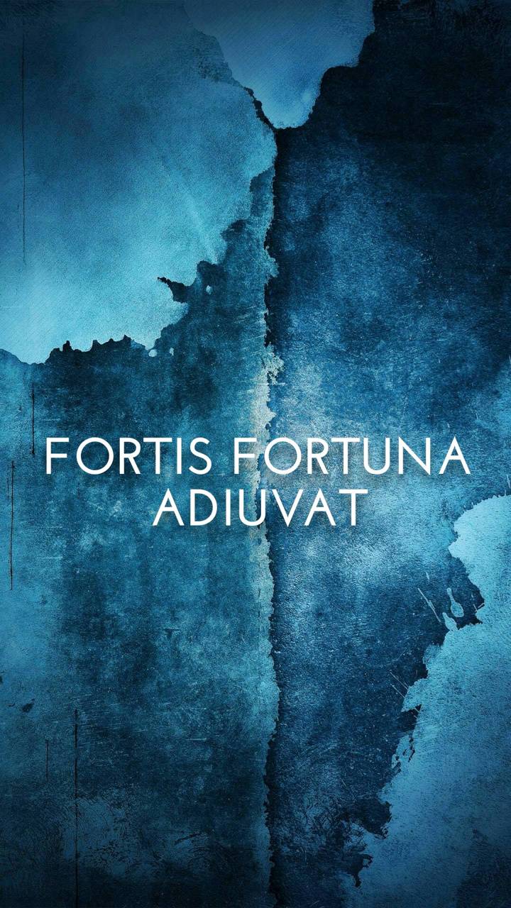 Fortis Fortuna Adiuvat Wallpapers - Wallpaper Cave