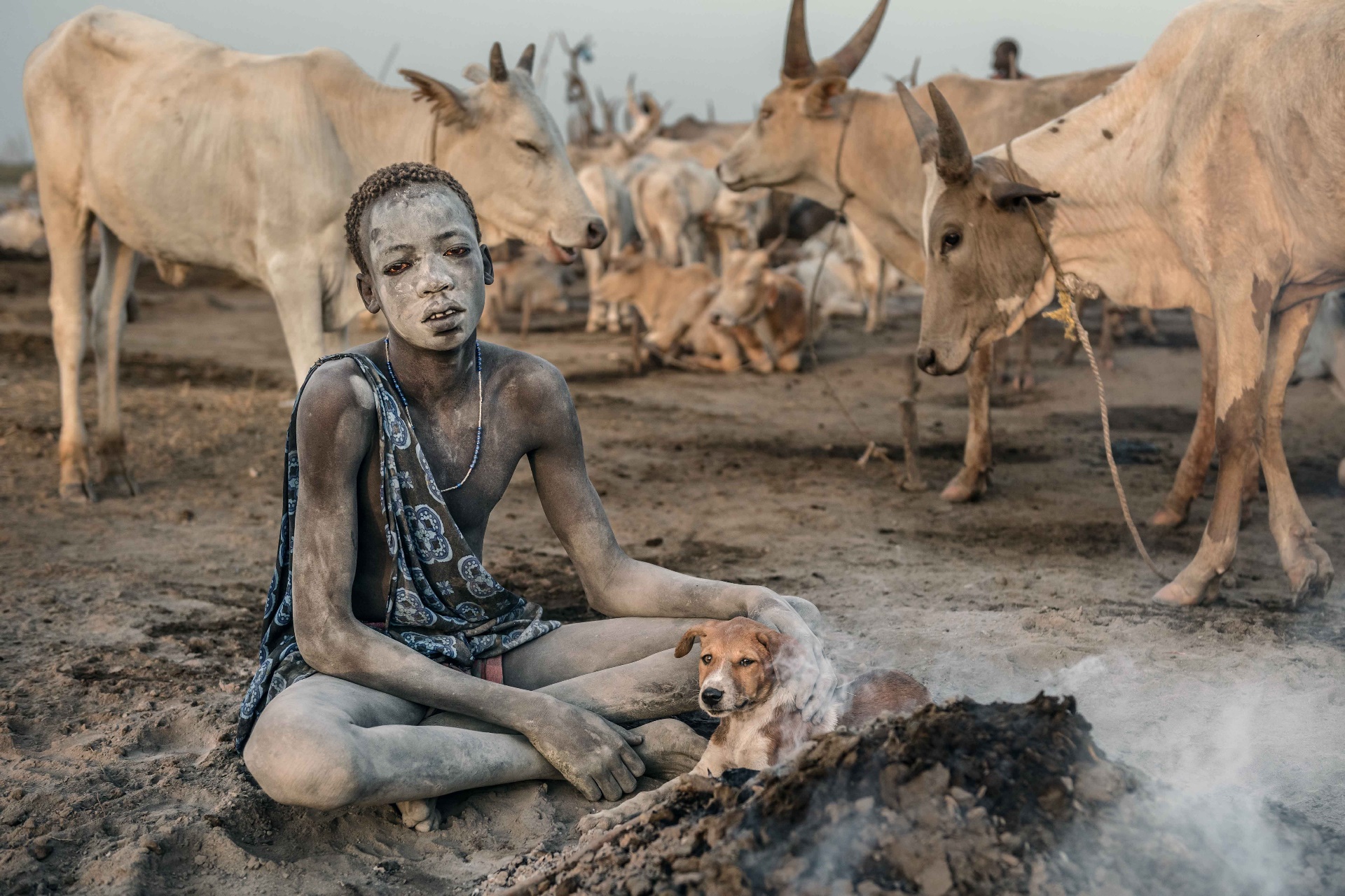 Animals People Sudan Country Africa Cow Wallpaper:1920x1280