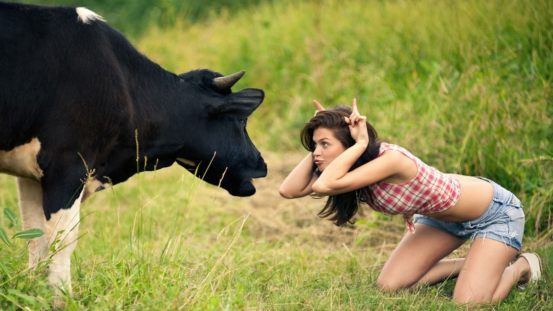 Girl, what he FK are you doing? says the irritated cow Are you poking fun at me?. Funny photo, Animated movies funny, Funny gif