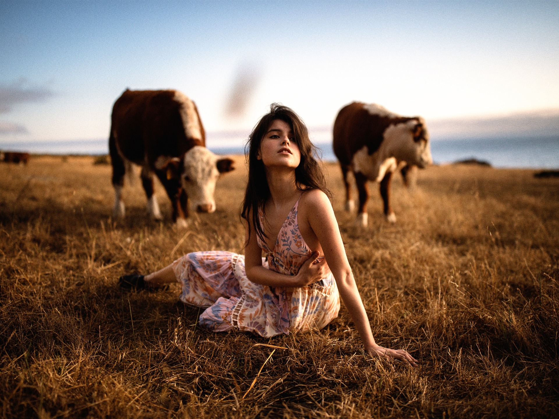 Girl In A Field With Cows Beauty Photo Wallpaper