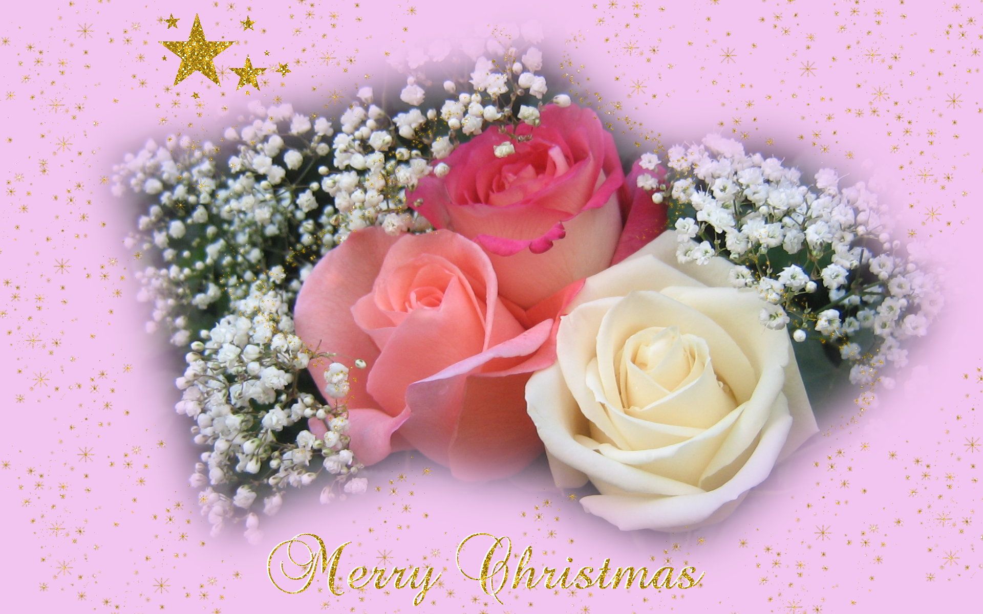 Merry Christmas Flowers Wallpapers - Wallpaper Cave