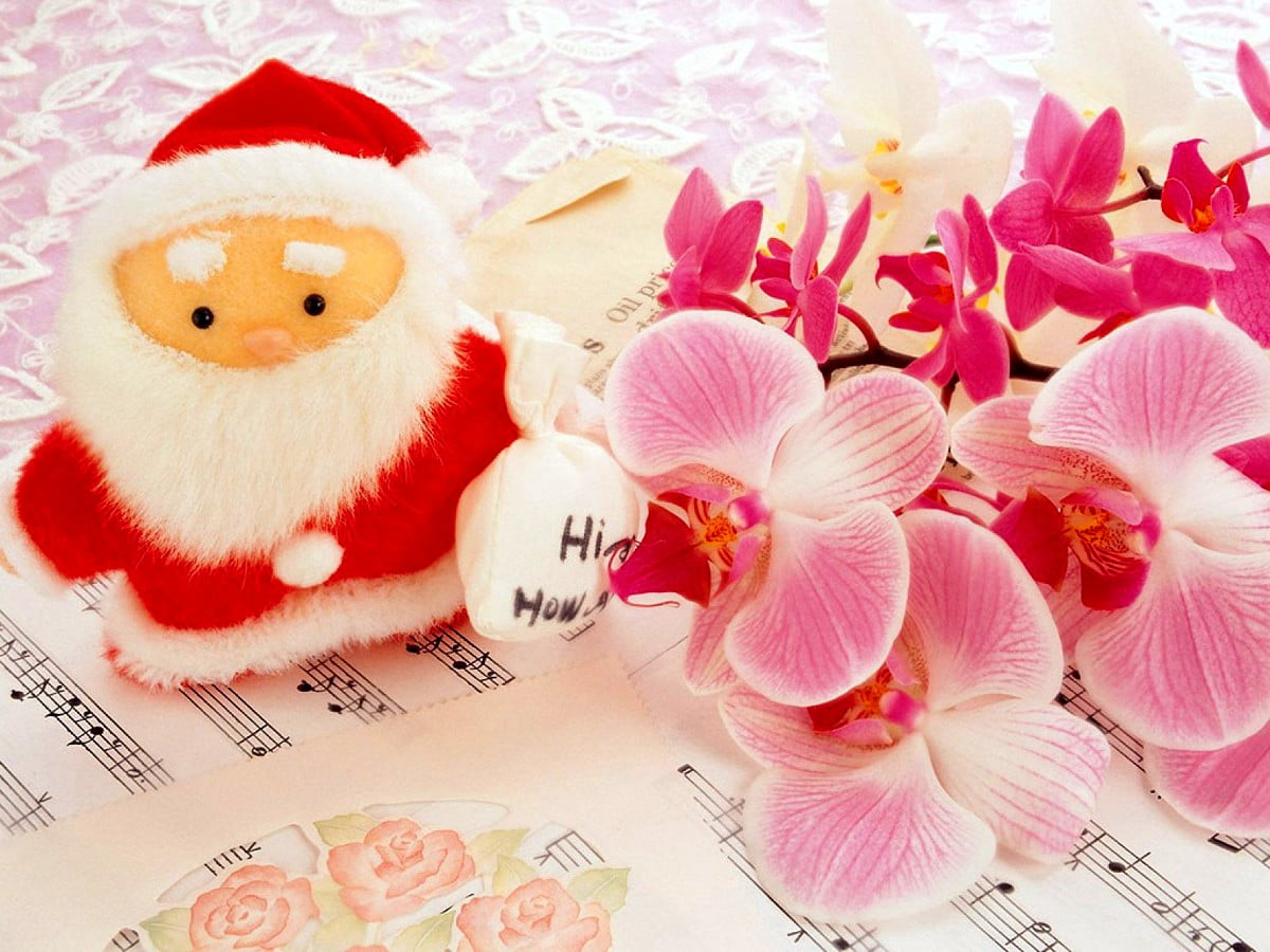 Background photo Merry Christmas, Pink, Smile. Best Free Download image