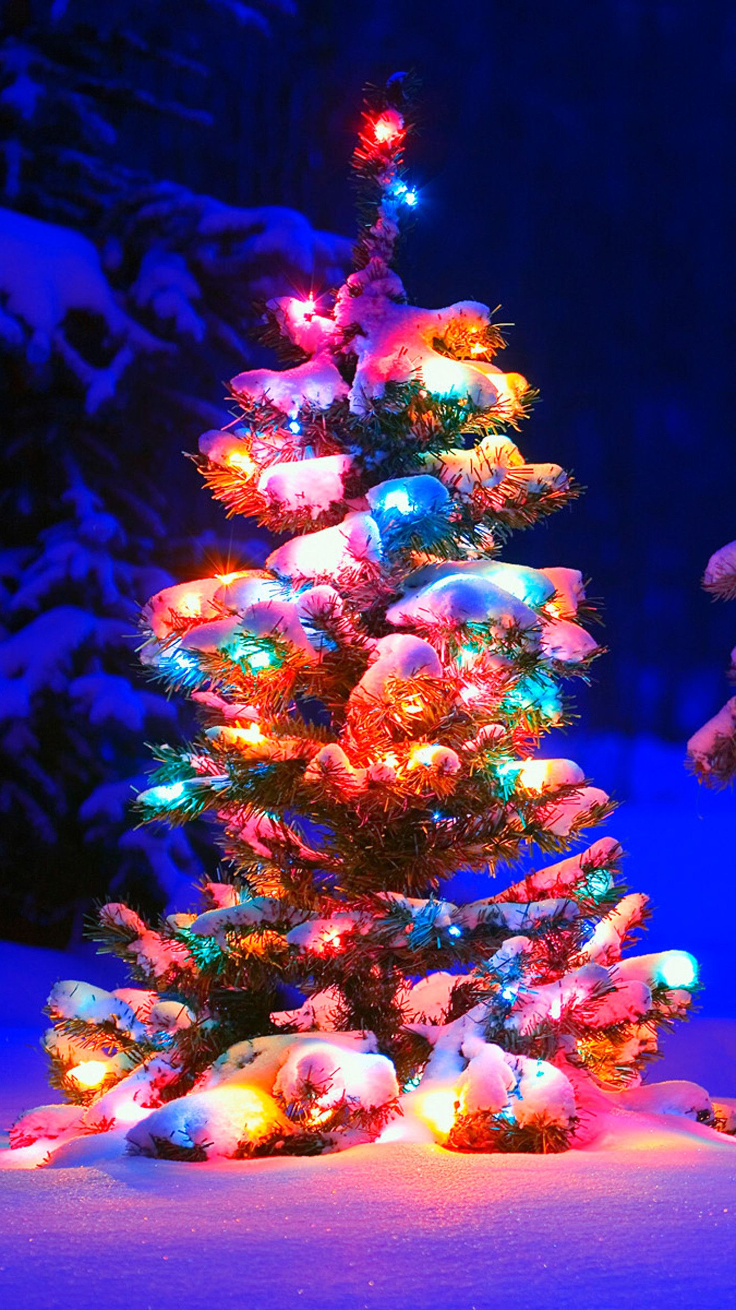 Christmas Tree Phone Wallpaper, HD Christmas Tree Phone Background on WallpaperBat