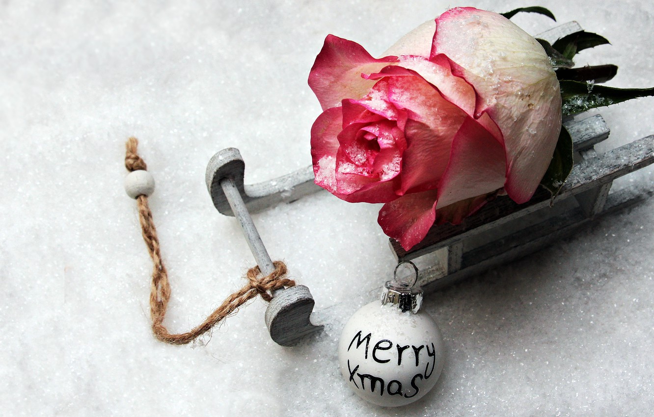 Wallpaper rose, winter, snow, merry christmas, christmas ball image for desktop, section новый год