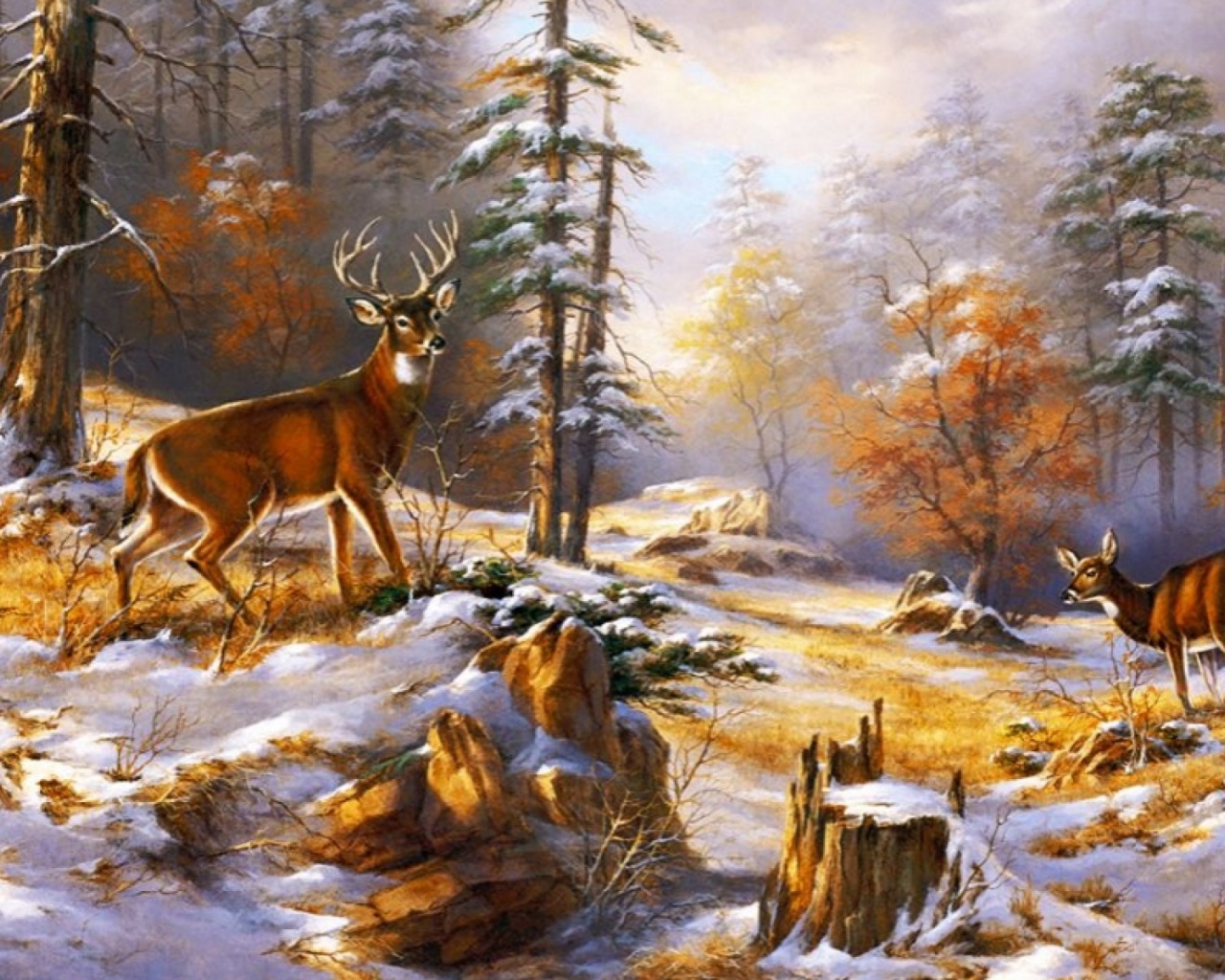 Early Winter Computer Wallpaper