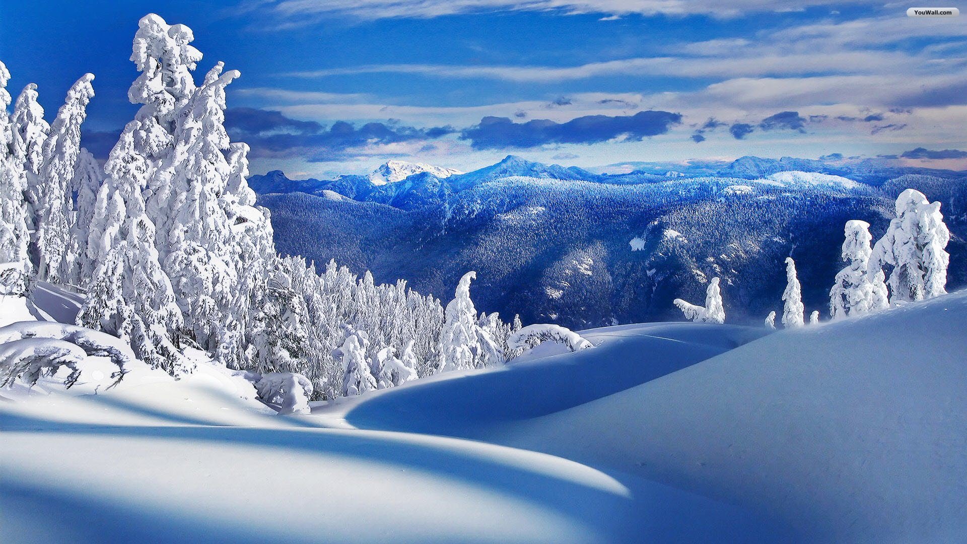 Winter Landscape Wallpapers Hd Free Download Desktop Picture