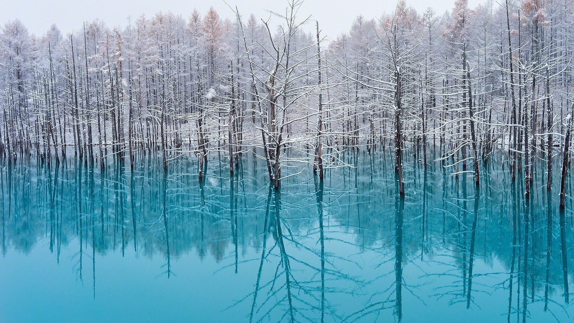 lake, Trees, Nature, Turquoise, Water, Snow, Reflection, Winter, Japan, Landscape, Cold, Mist, Forest Wallpaper HD / Desktop and Mobile Background