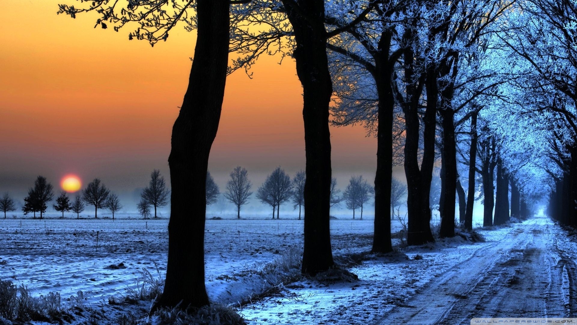 Download Winter Landscape With Orange Sky Wallpapers 1920x1080