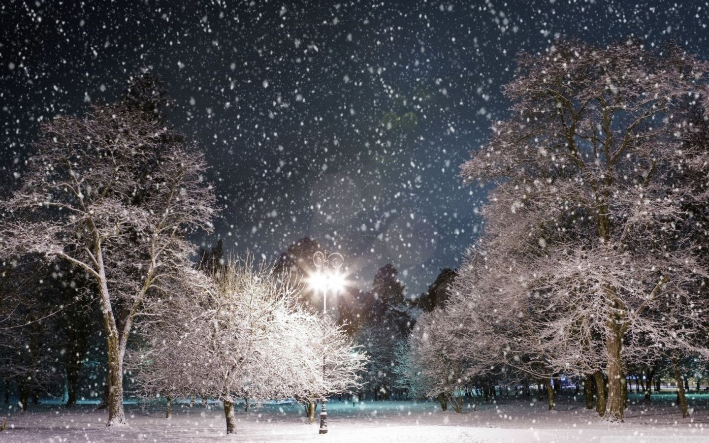 Snow City Night Wallpaper